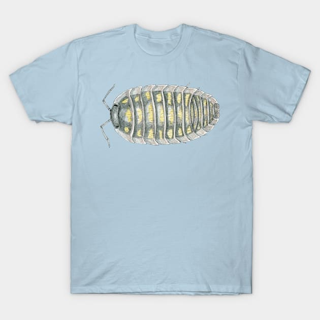 Armadillidium depressum Isopod T-Shirt by paintedpansy